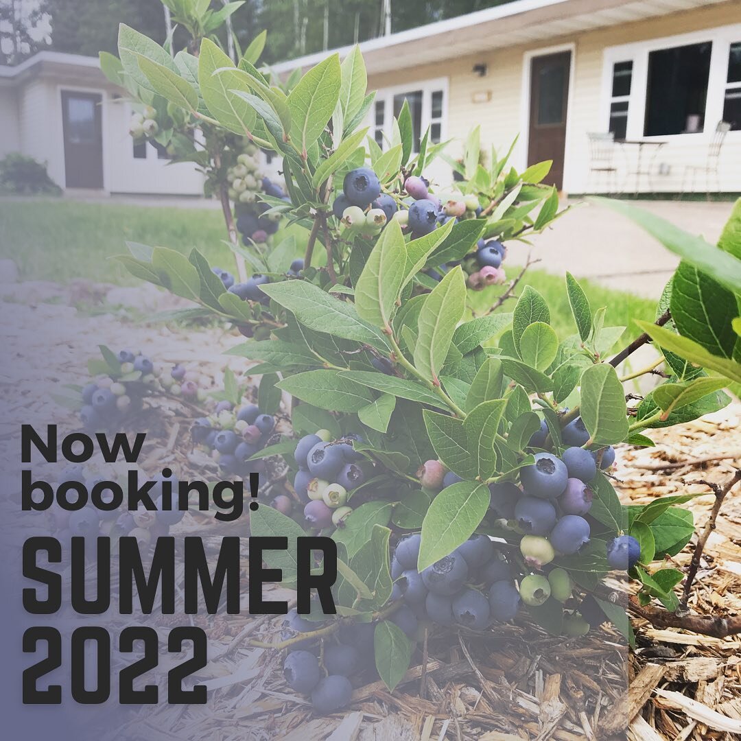 Start planning your north shore vacation, our summer 2022 calendar is now open! Find us on Airbnb or DM us for direct booking info.

#grandmaraismn #northshoremn #donorthmn #basecampnorthshore #lakesuperior