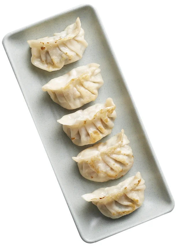 FA12-600-VegetableGyoza2.jpg