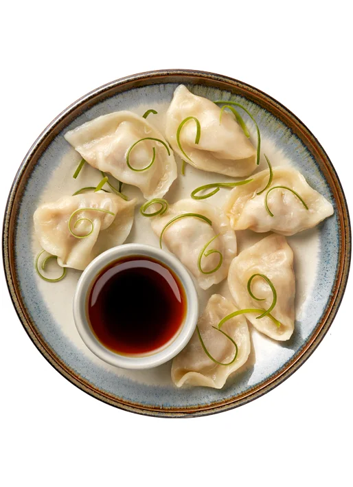 FA28-500-ClassicChickenDumplings2.jpg