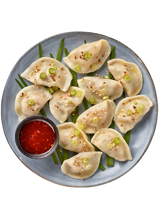 FA29-500-ClassicPorkDumplings2.jpg