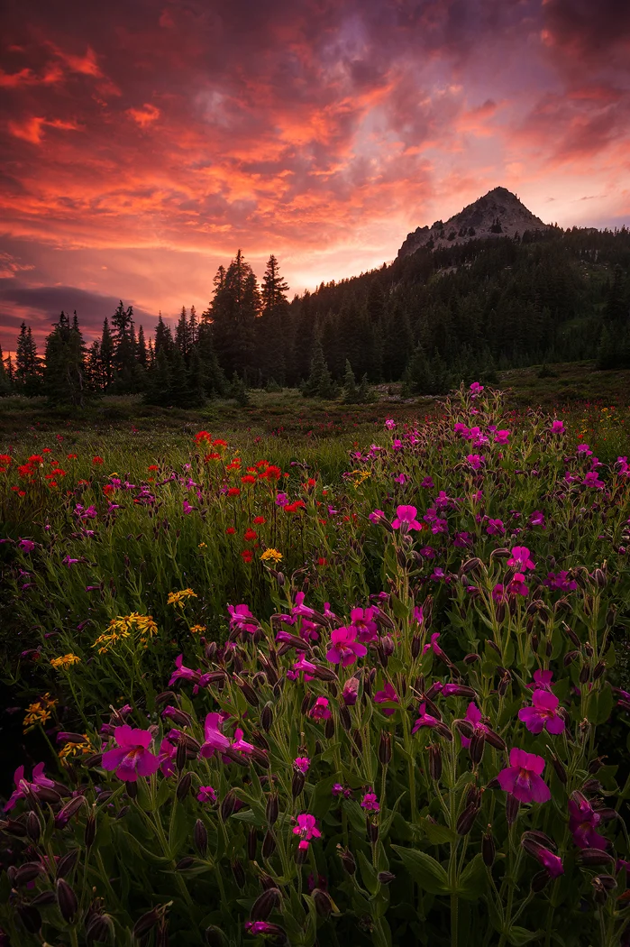 Park-Butte-warm-web.jpg