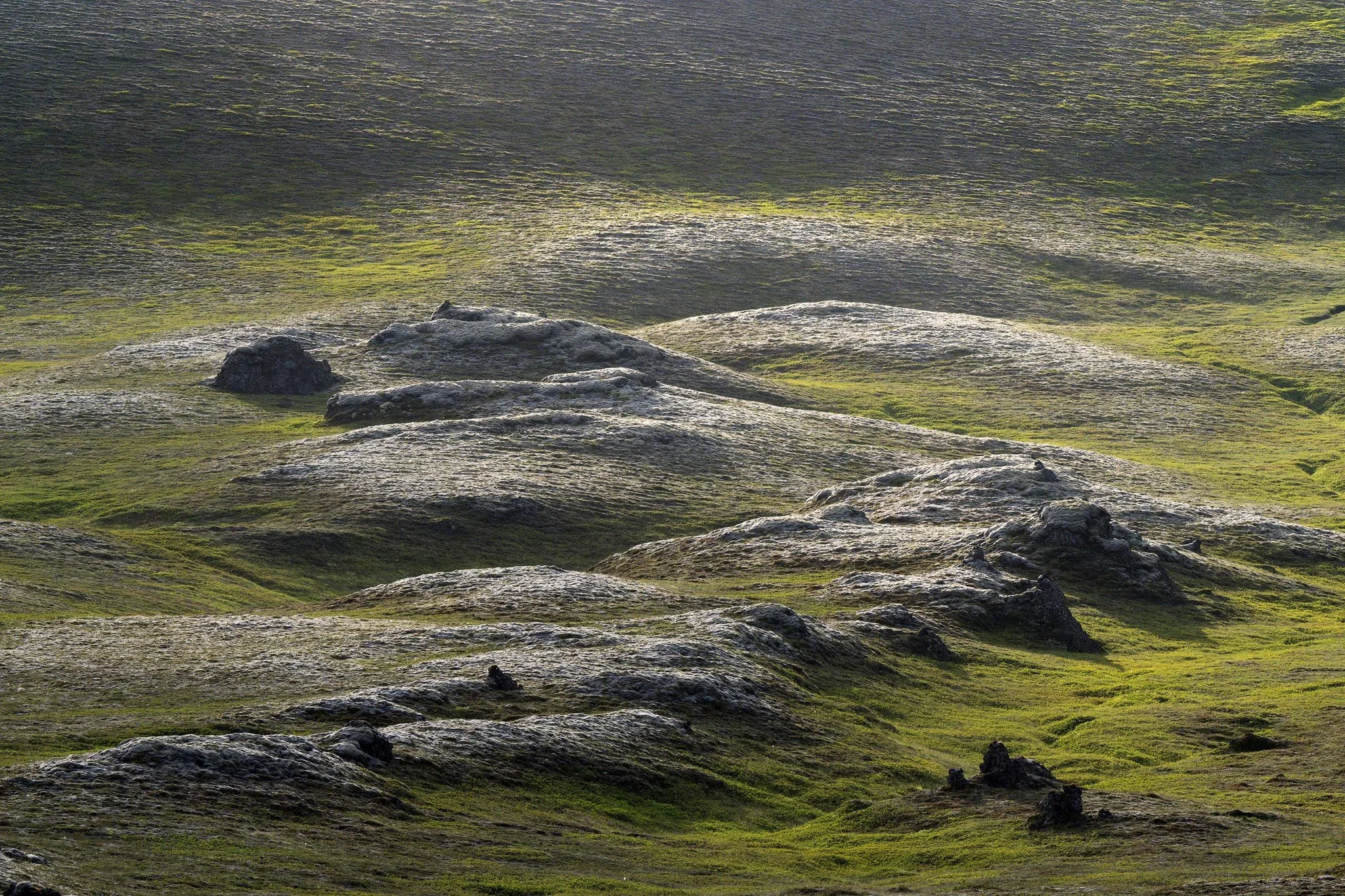 Middle Earth