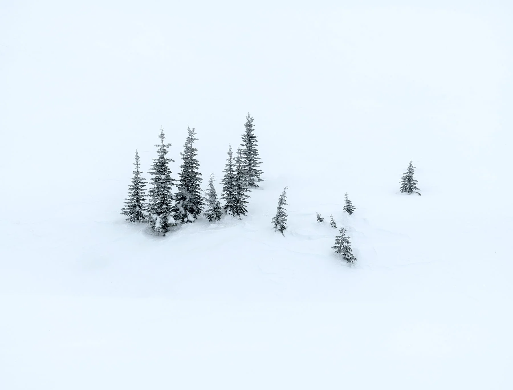 Cold Wait