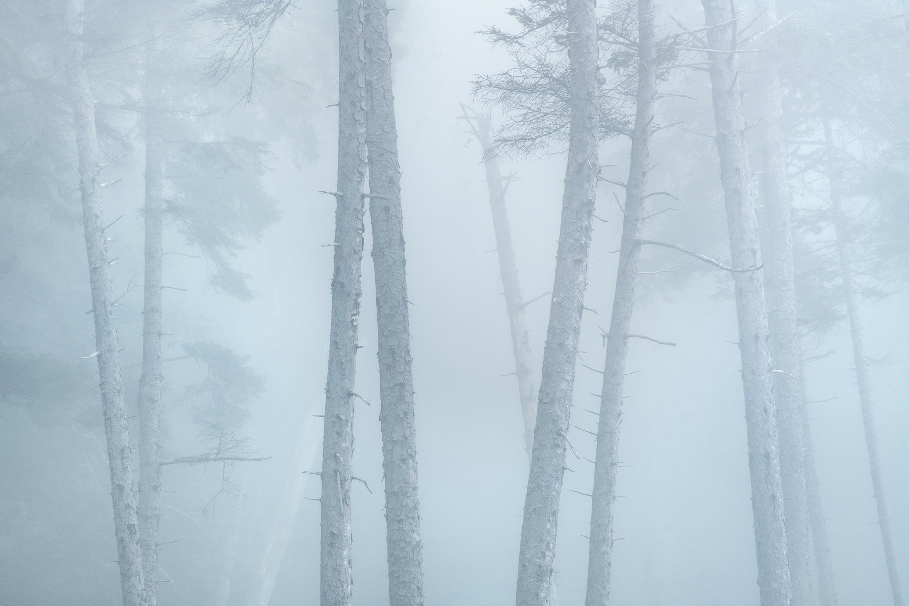 Living-with-Ghosts-1800.jpg