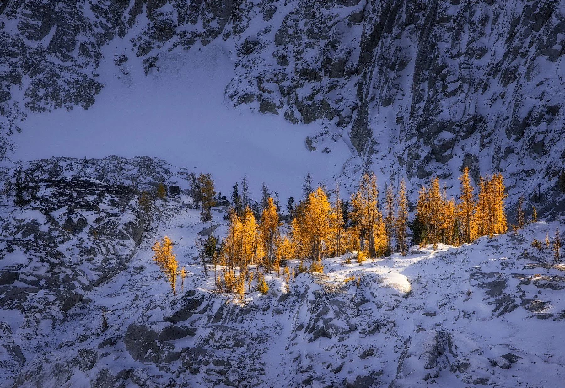 Huddled-Masses-1800 (1).jpg