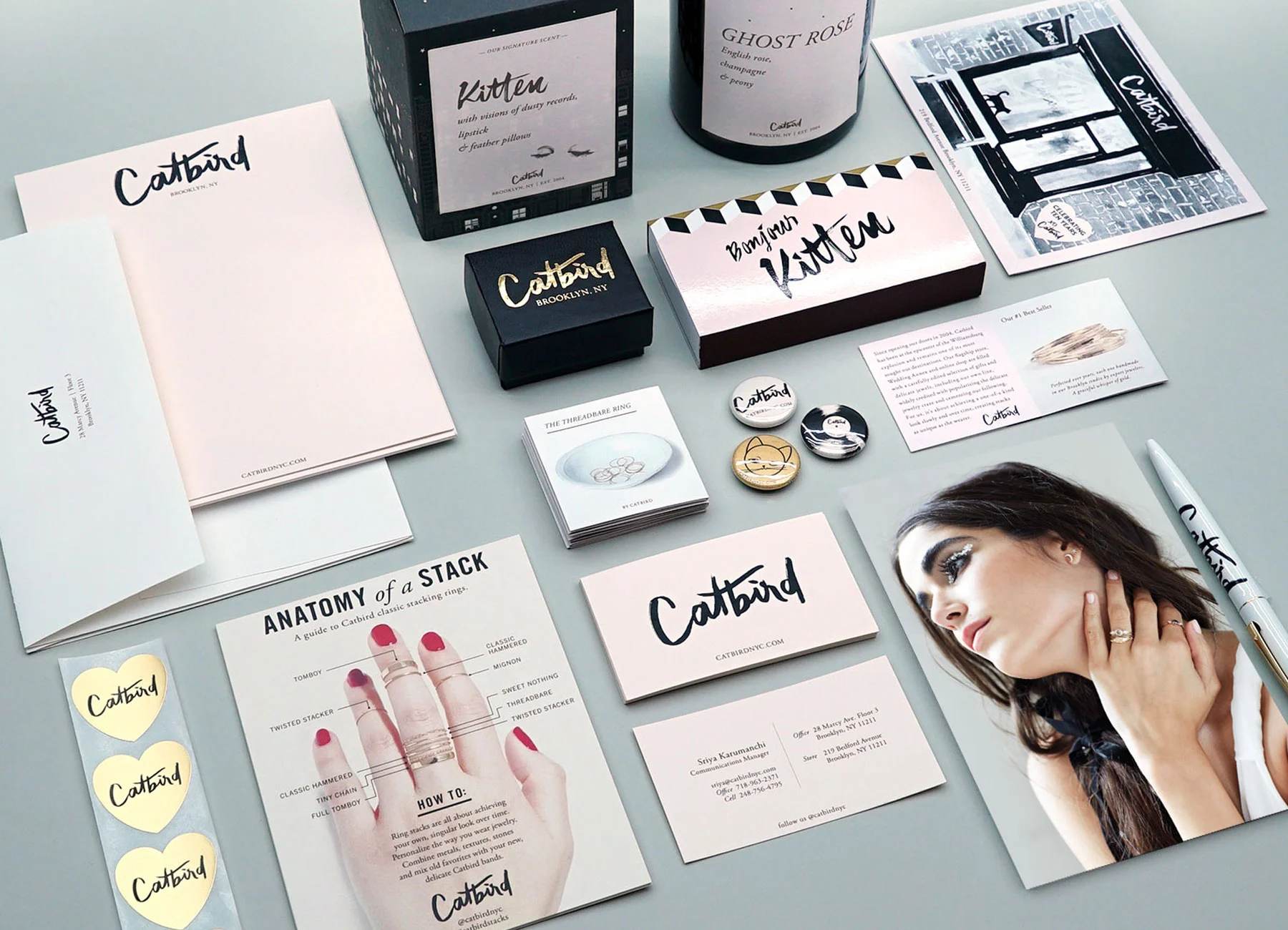 Dafne-Catbird-Collateral-1.jpg