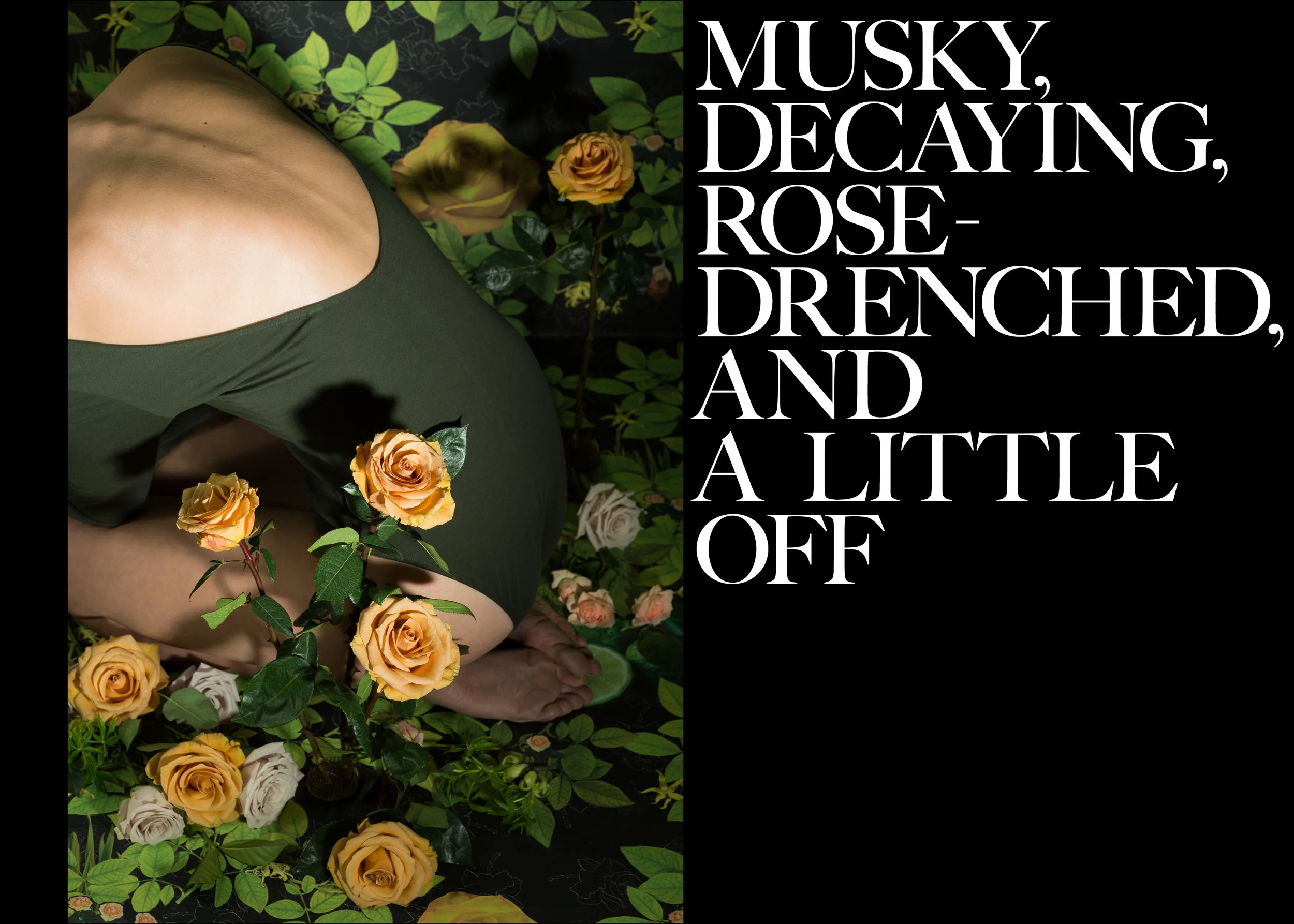 dafne-grey-rose-final-img2.jpg
