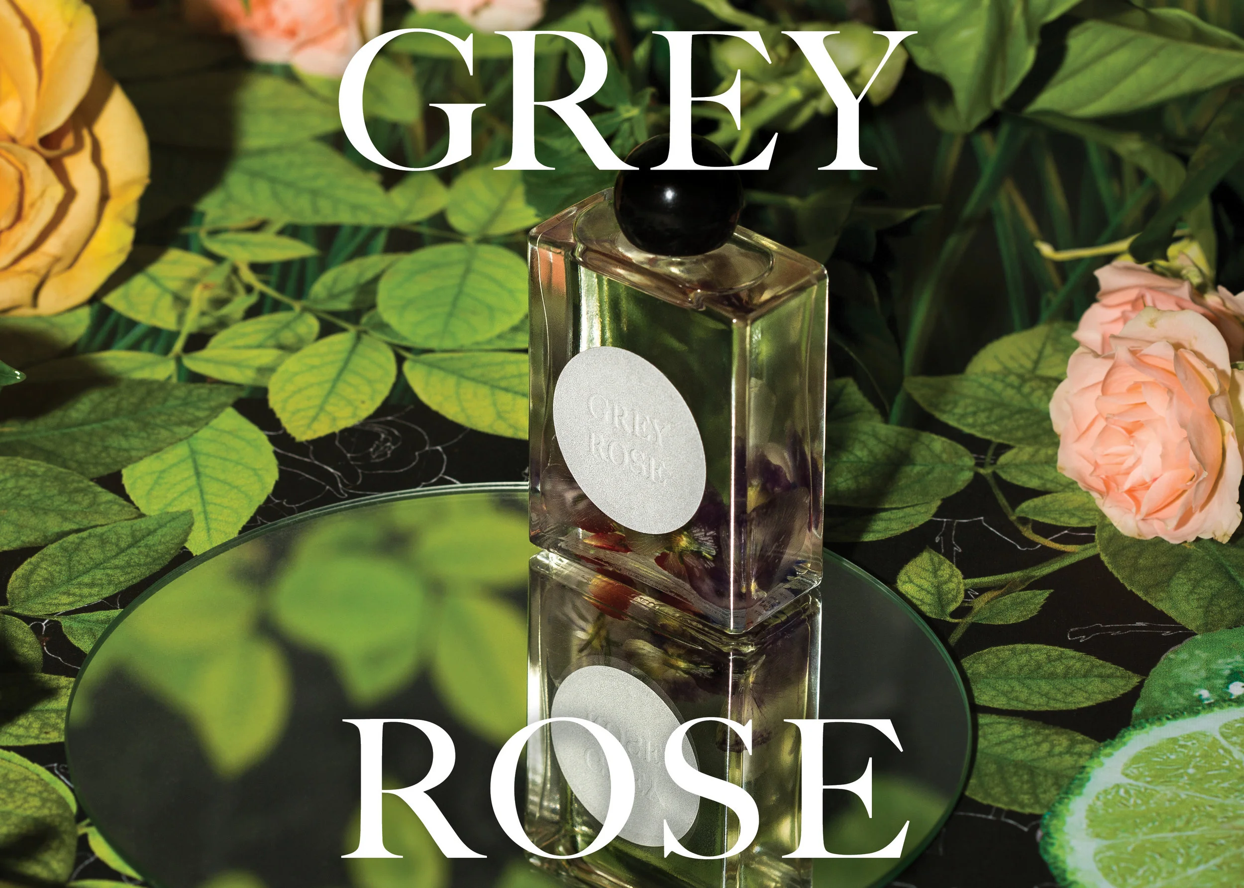  Dafne conceived a campaign for cult fragrance Grey Rose that challenges the assumption that roses are always blushing, sweet, and romantic. Taking inspiration from  Grey Gardens &nbsp;and Francesca Woodman’s self-portraits, Dafne created a custom wa