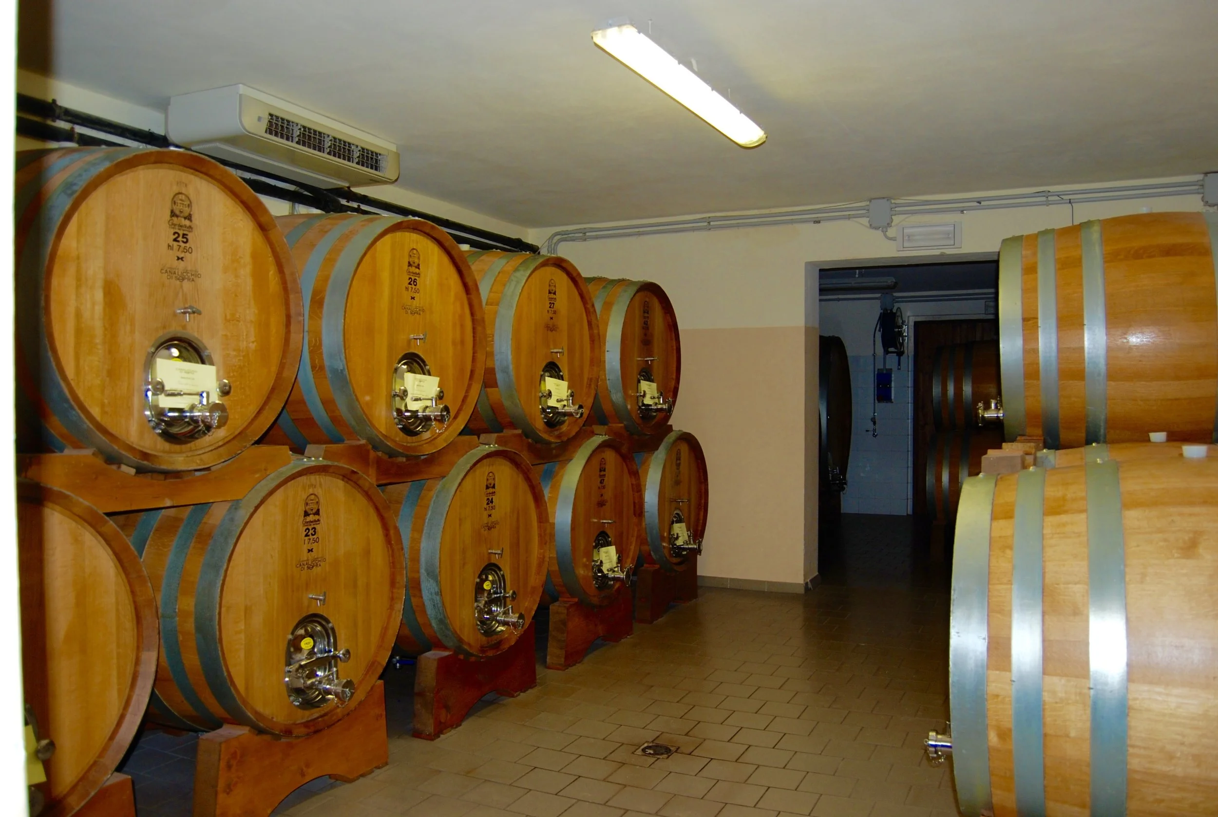 Part of the cellar at Canalicchio di Sopra.