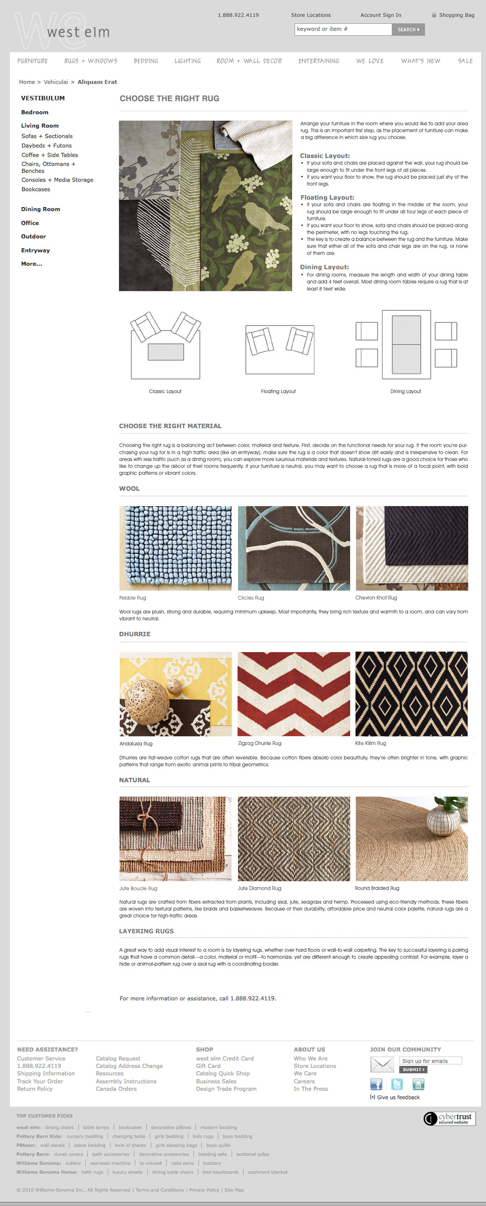 WestElm-RA_rugs_H10.jpg