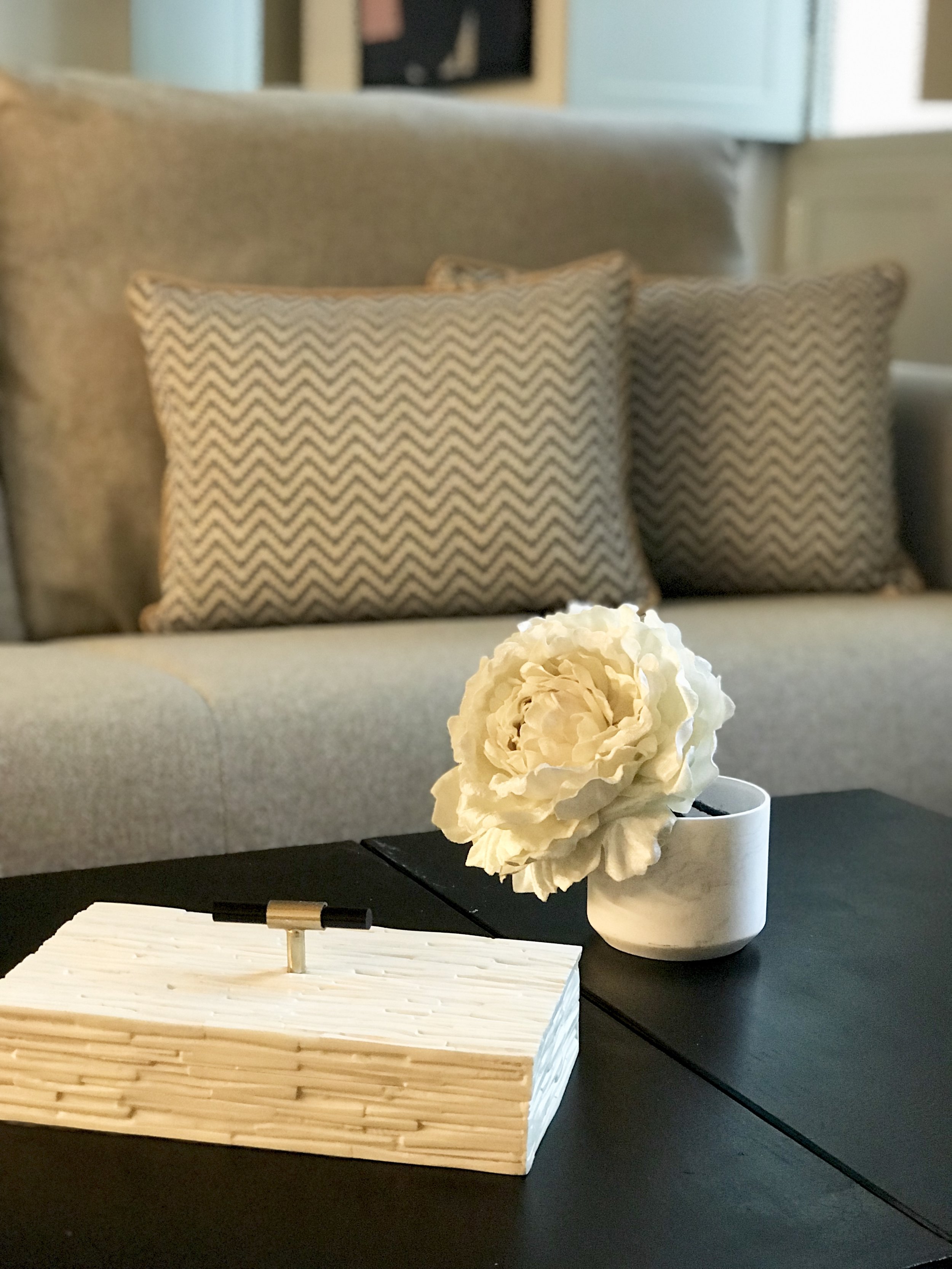 Elegant single white blossom dramatically displayed on a coffee table with sofa.