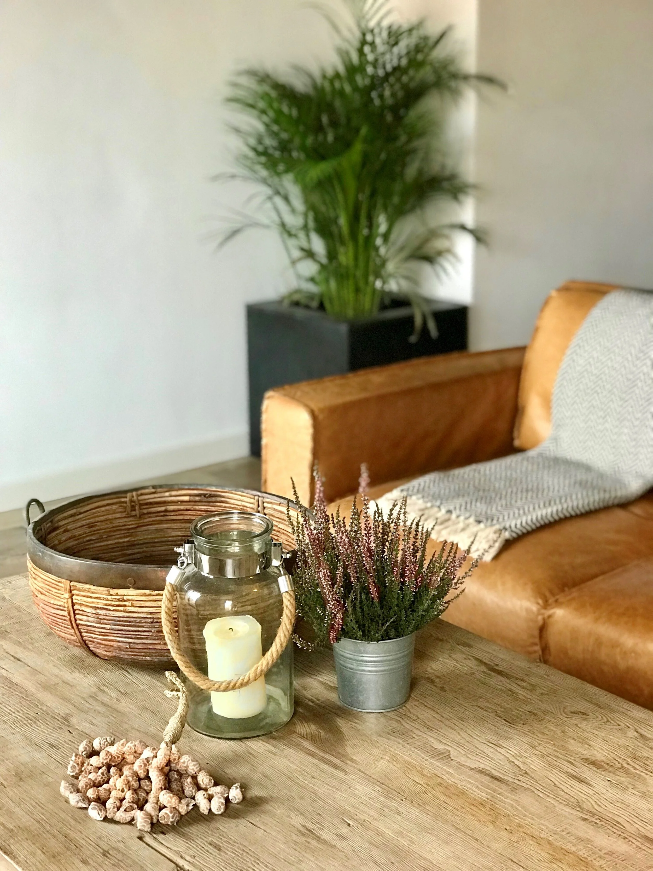 Sustainable Luxury: Eco-Friendly Design Choices for Palm Beach Homes