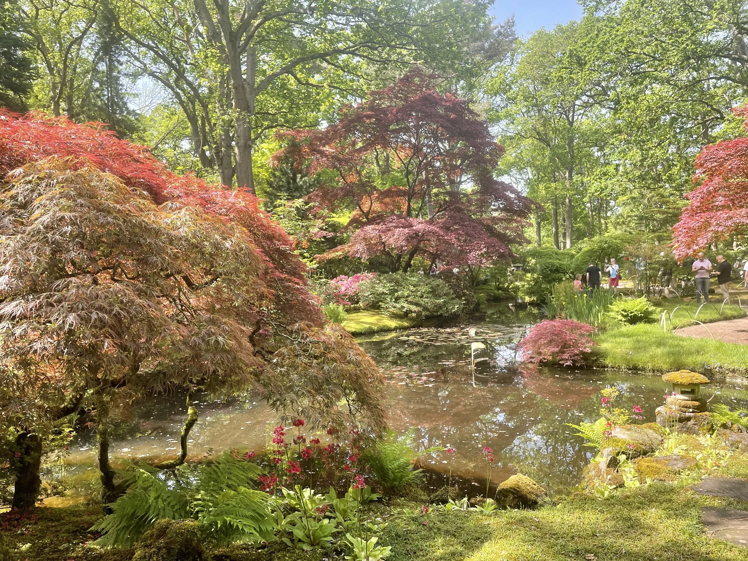 Japanese Tuin.jpg