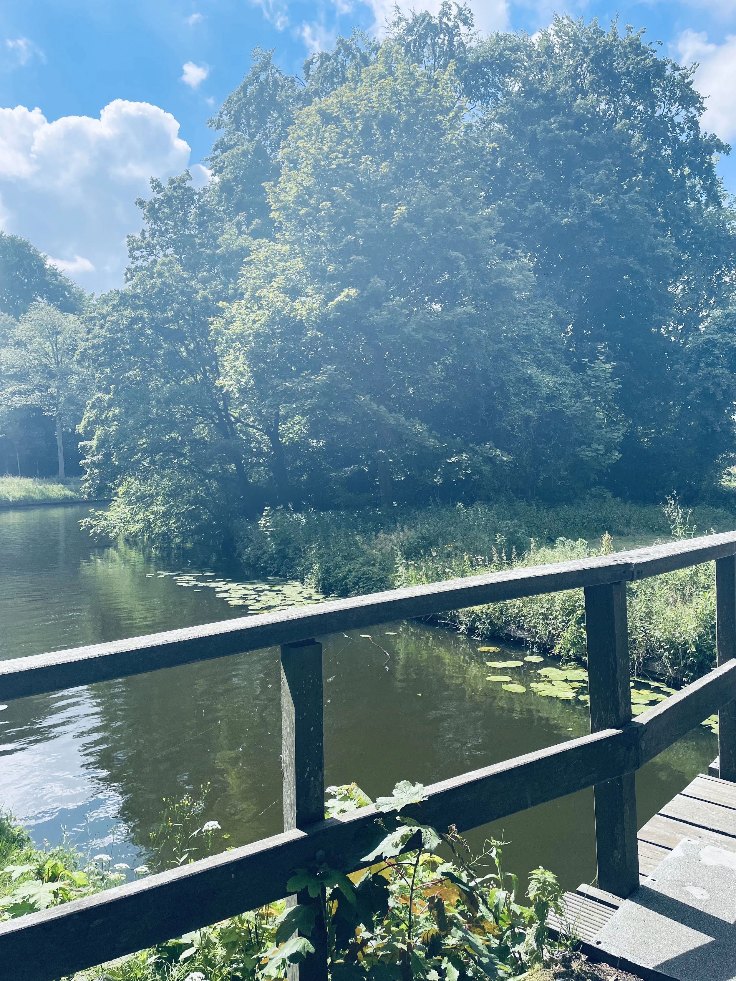 Westbroek Park Bridge.jpg