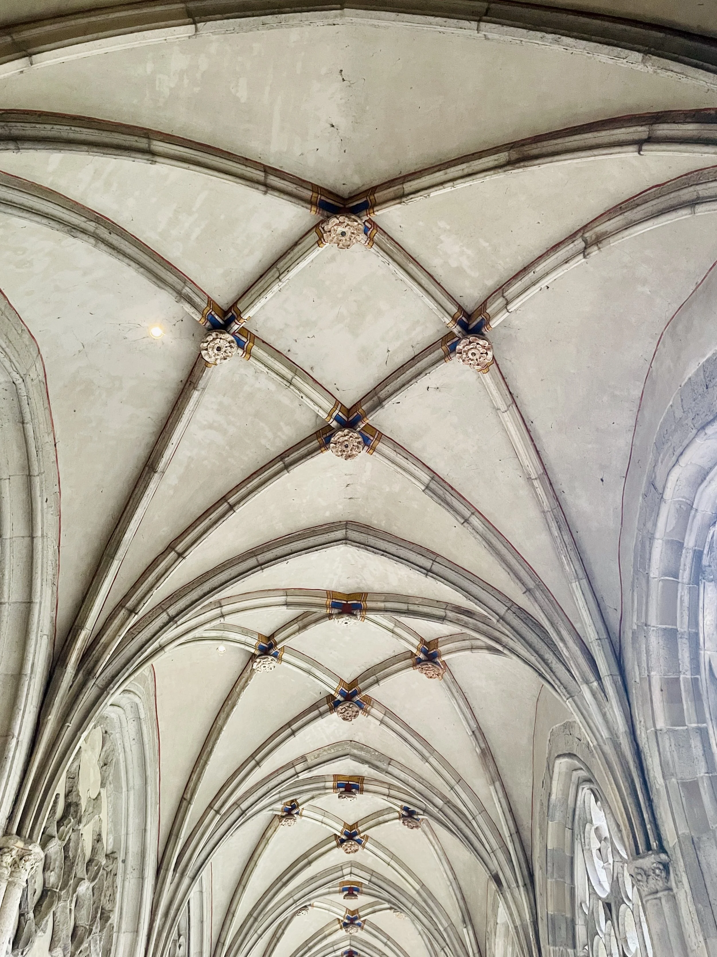 Pandhof van de Dom is a beautifully preserved 15th century cloister garden.