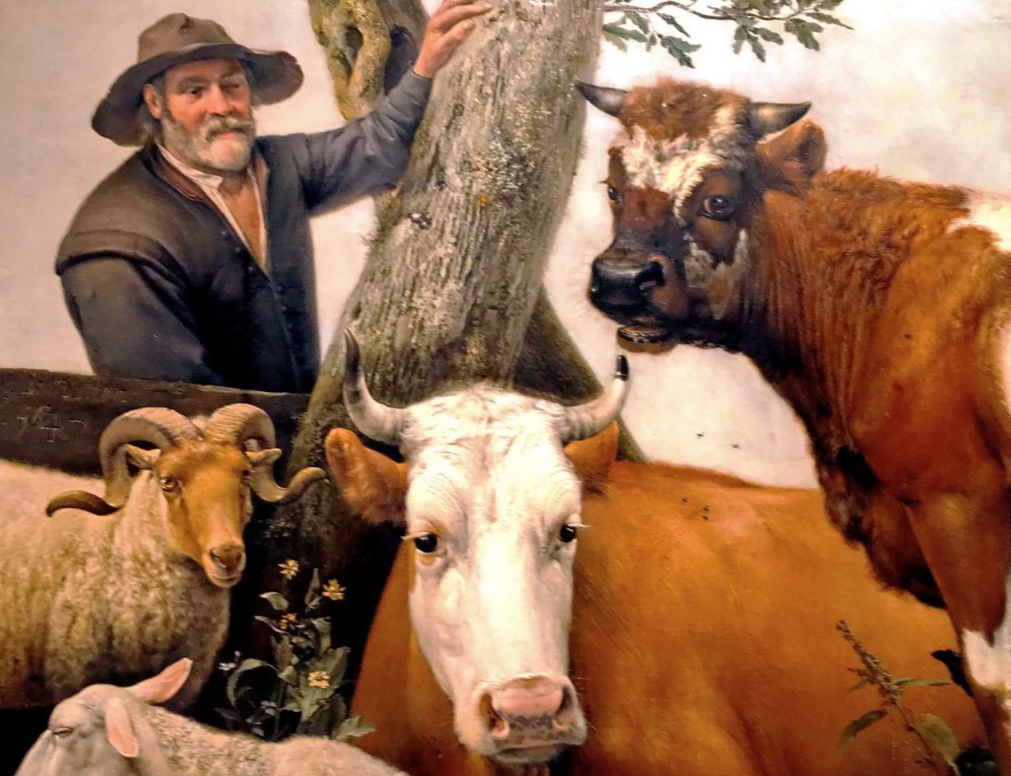 A detail of the painting "The Bull" by Paulus Potter, from 1647 Den Haag, Netherlands.
