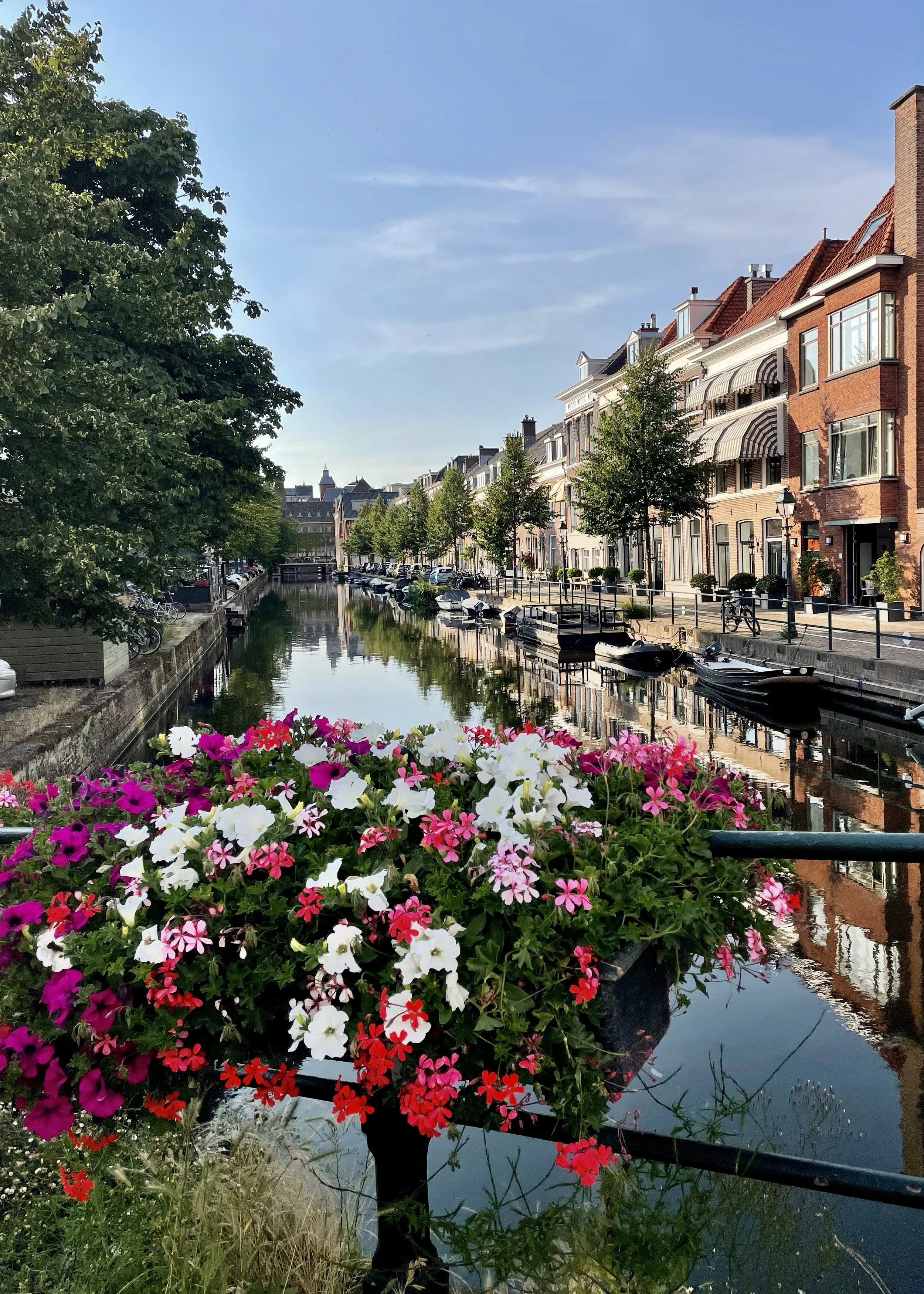 Hooikade canal in The Hague with colorful flowers on a bridge, boats along the water, and townhouses lining the shore.