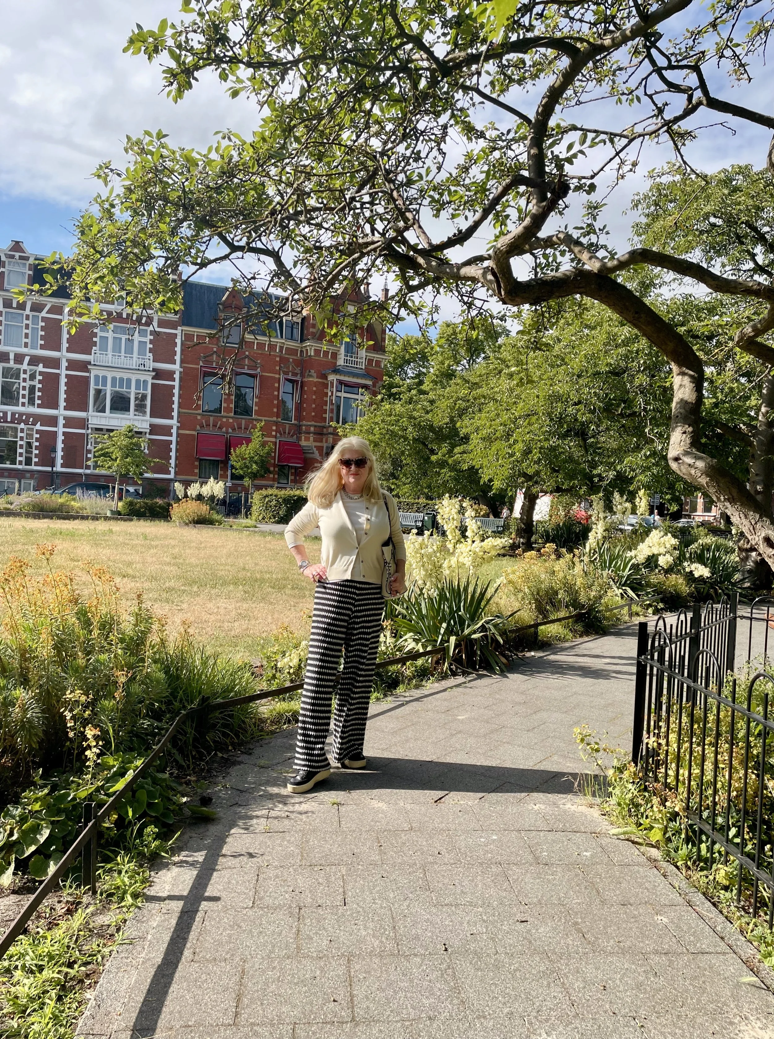 Path in European city park with mature trees and historic buildings in the background