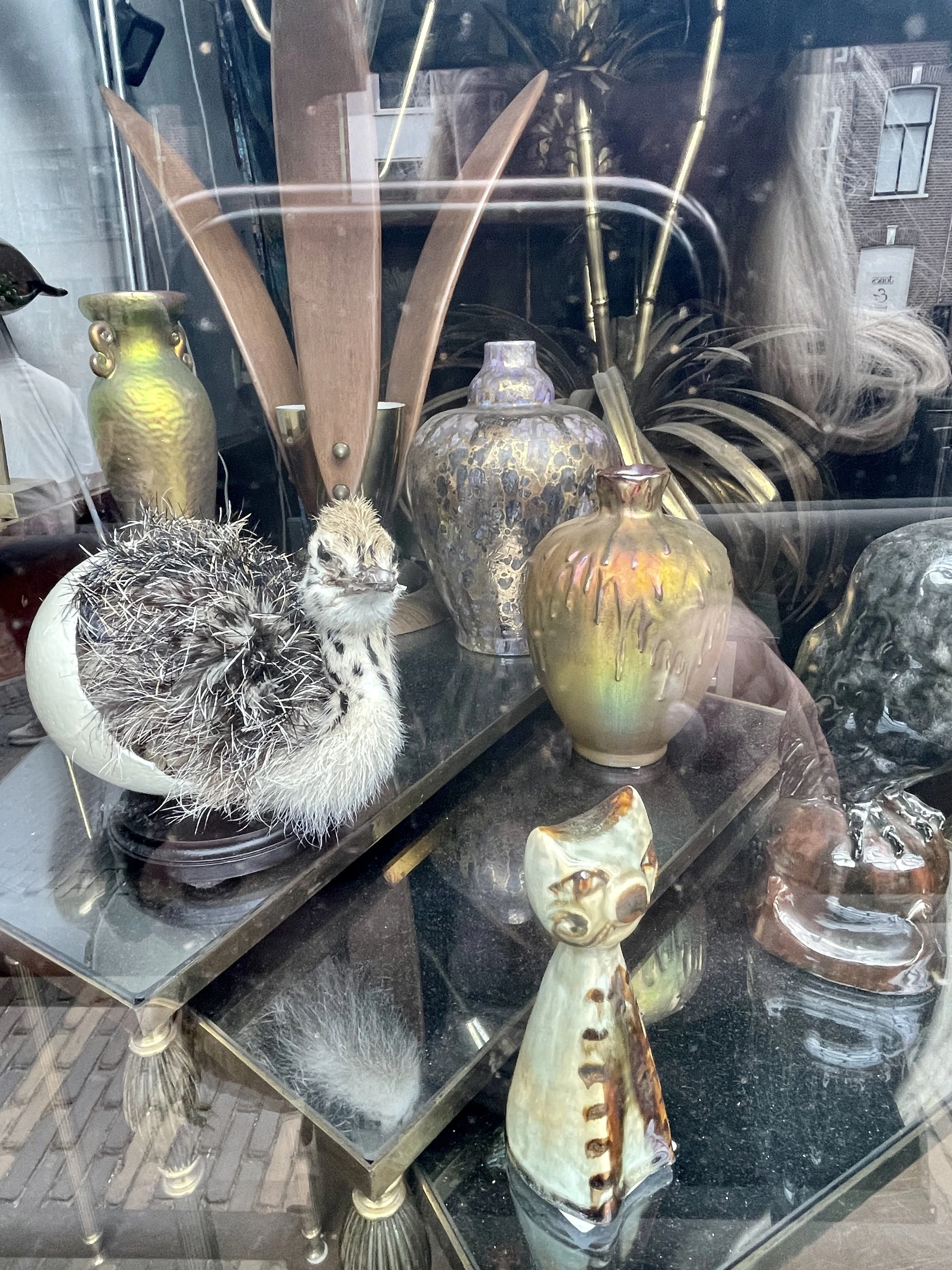 Utrecht 2026 shop window with accessories.