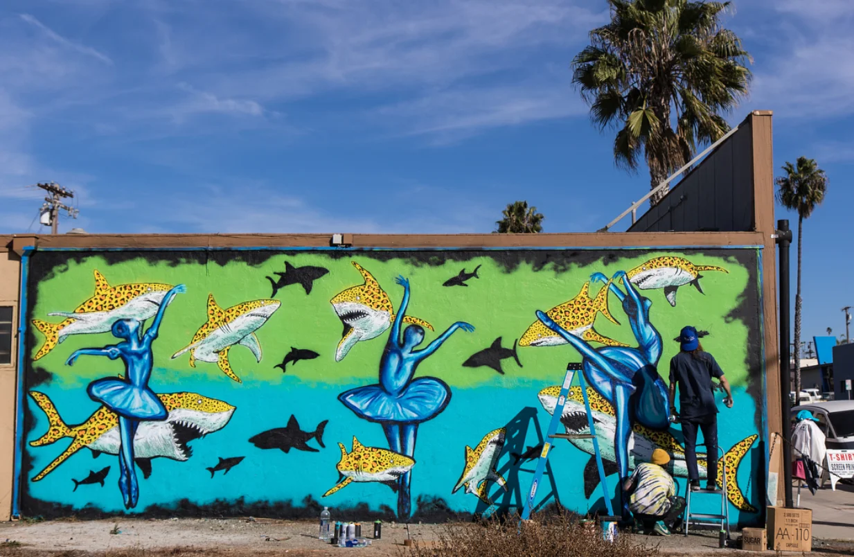 We are beyond grateful for BB and Hirotton for bringing art and dance together in the community of Oceanside. Be sure to stop by Wisconsin Ave to check out this work of art! LEOpard Sharks and LEOtards ***Photo taken by Breeze Photography 
