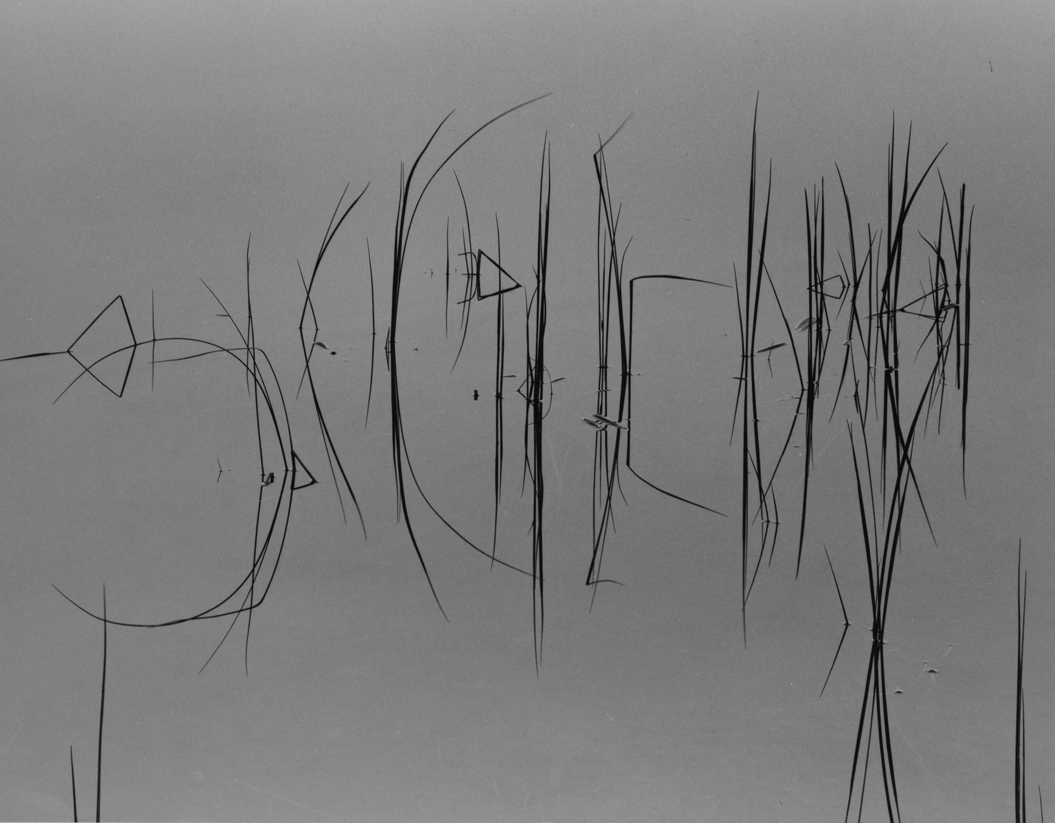 Secret Language, Stanley, ID, 2013.jpg