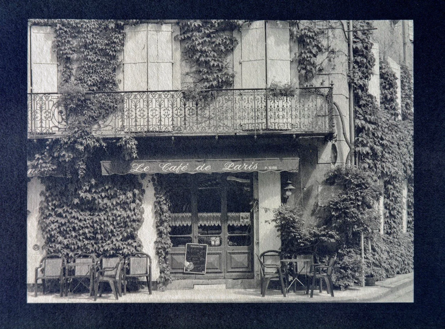 Picture4.jpg