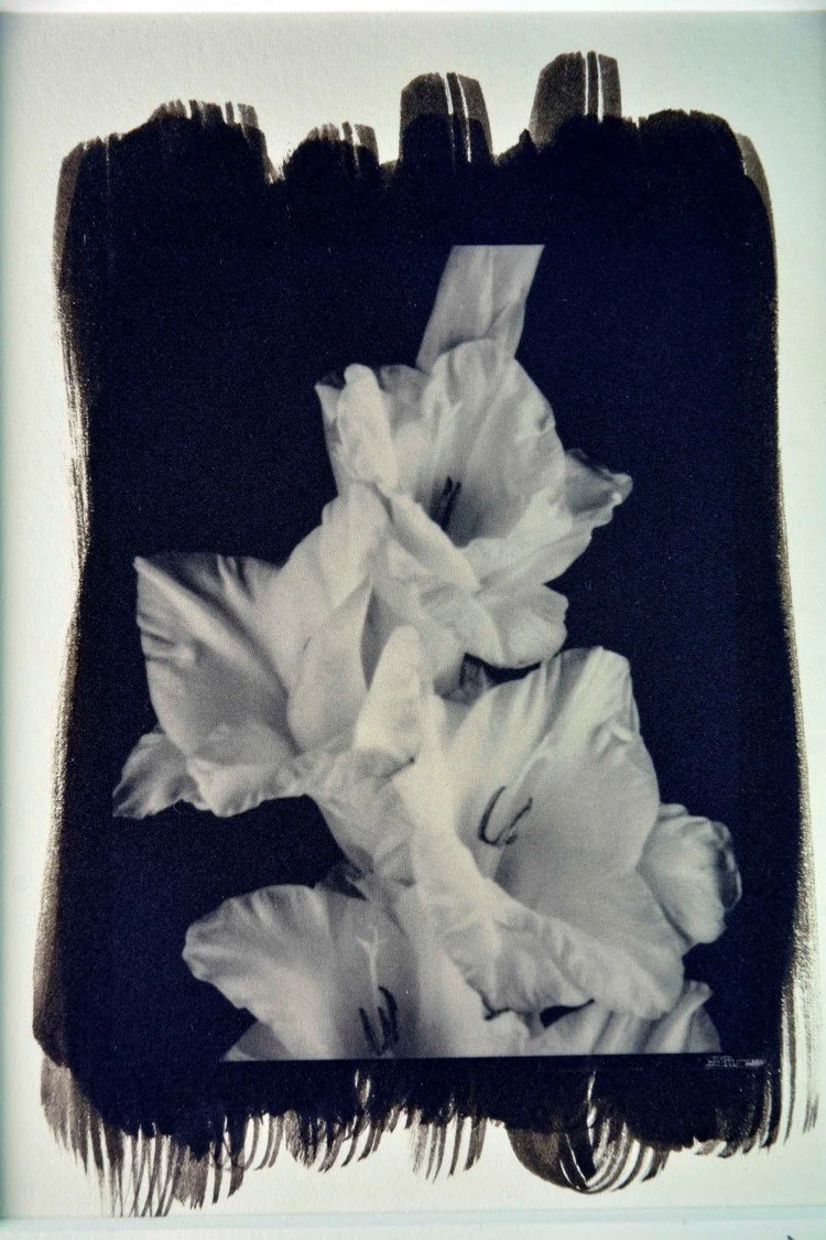 Picture10.jpg