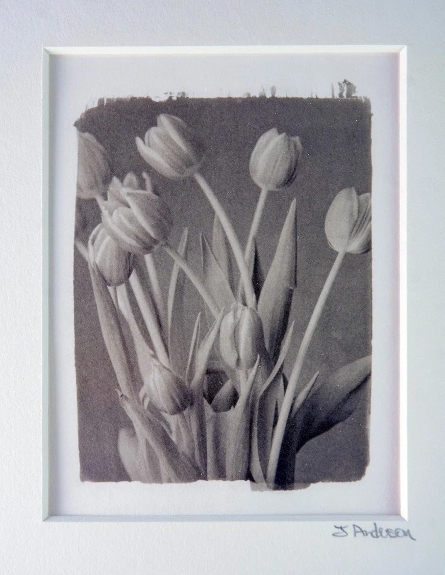 Picture12.jpg