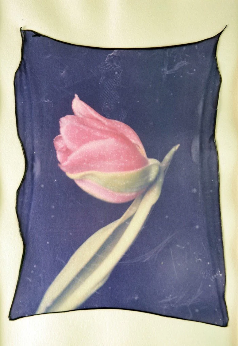 Picture15.jpg
