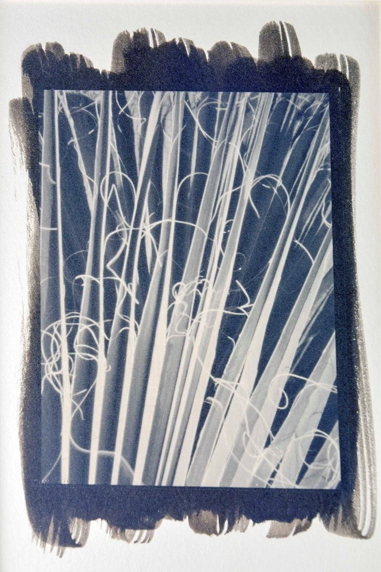Picture16.jpg
