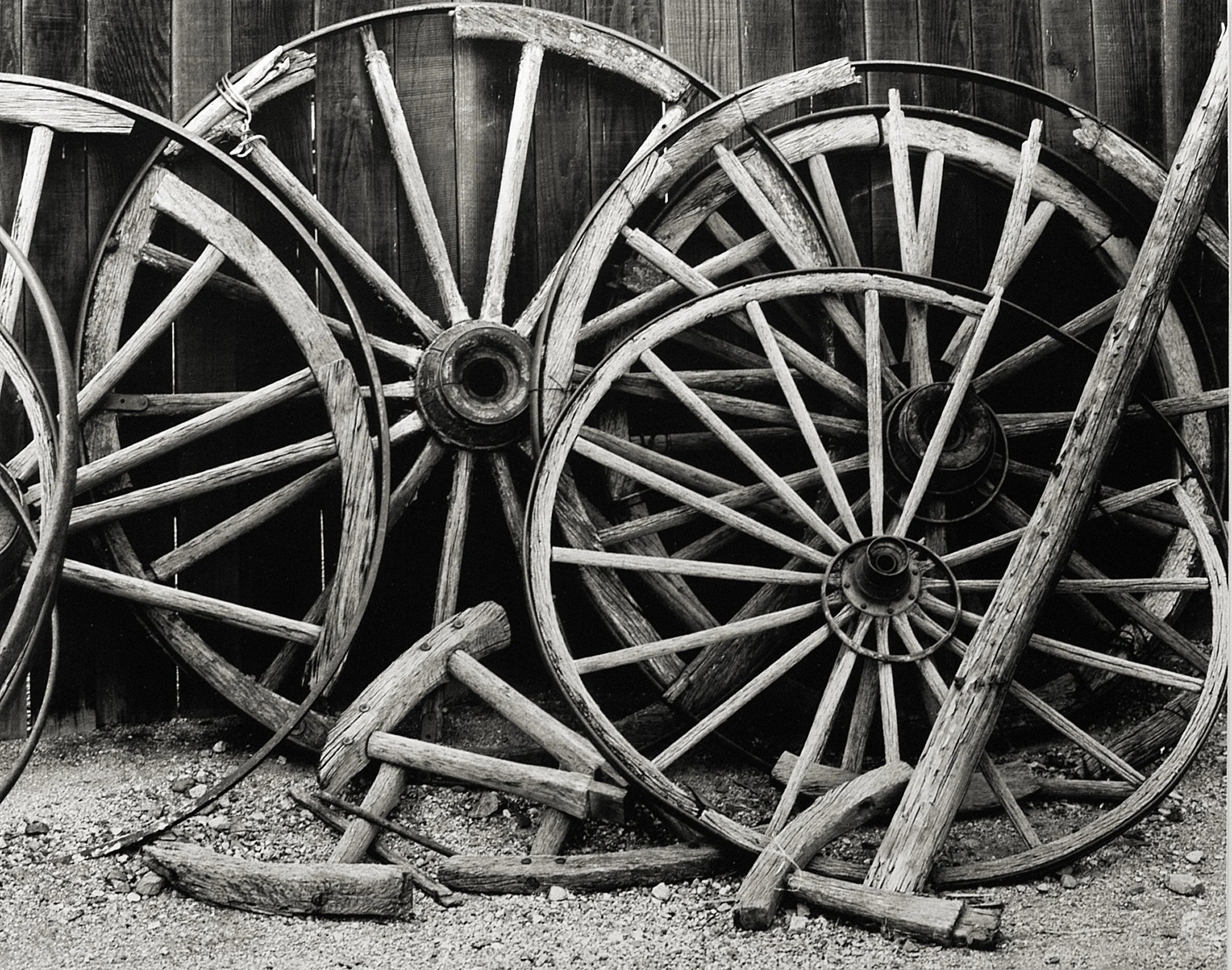 BLeibow_wheels.jpg