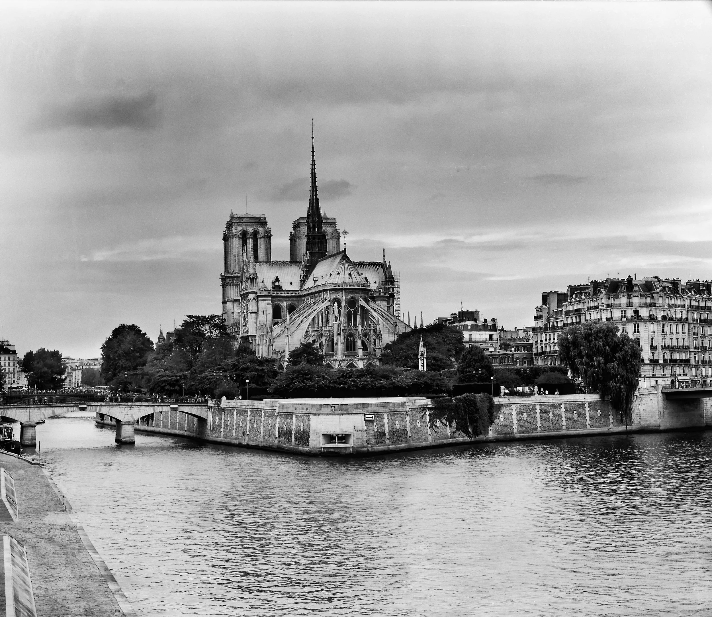 BLeibow_notre dame.jpg