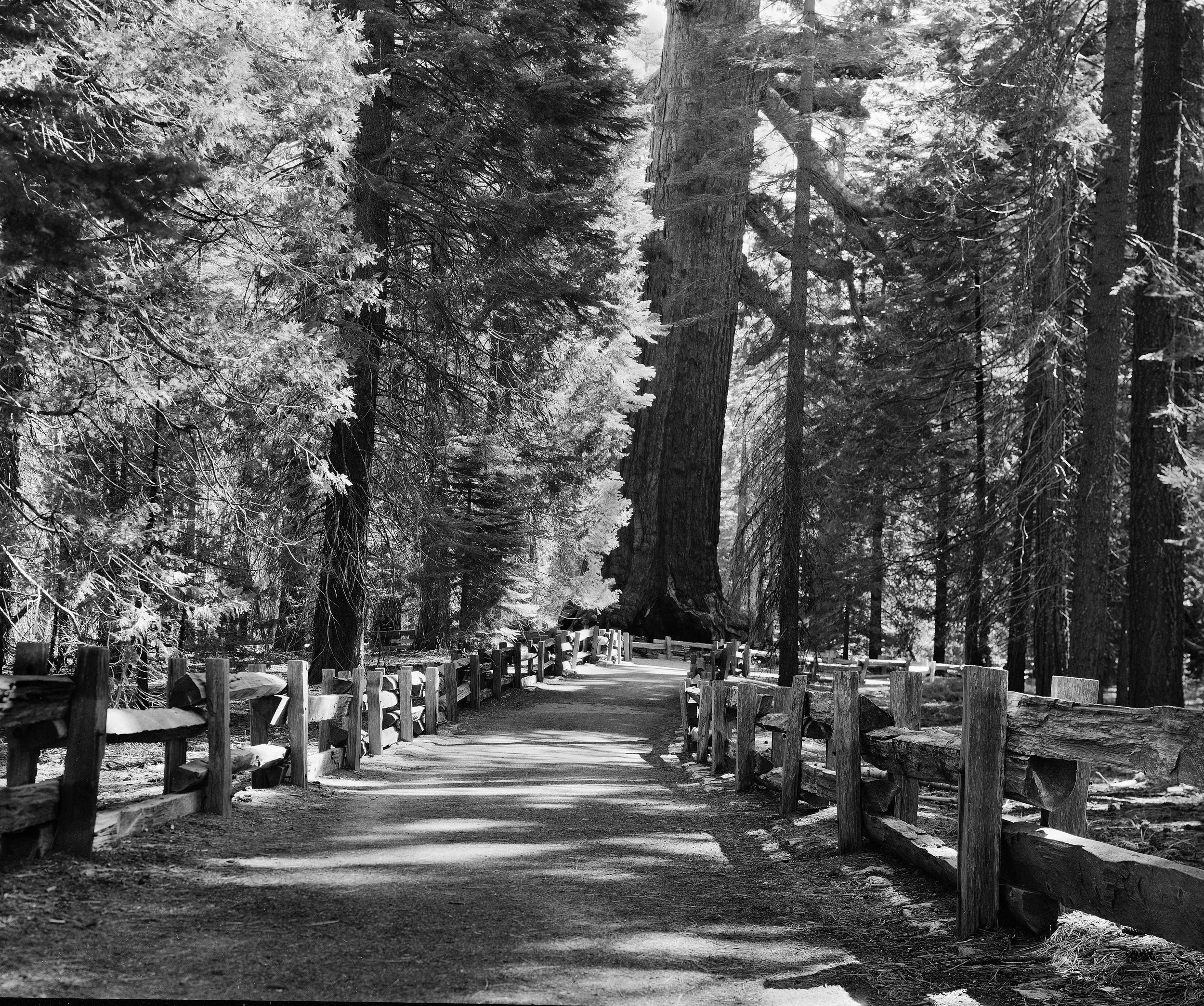 BLeibow_yosemite1_small.jpg