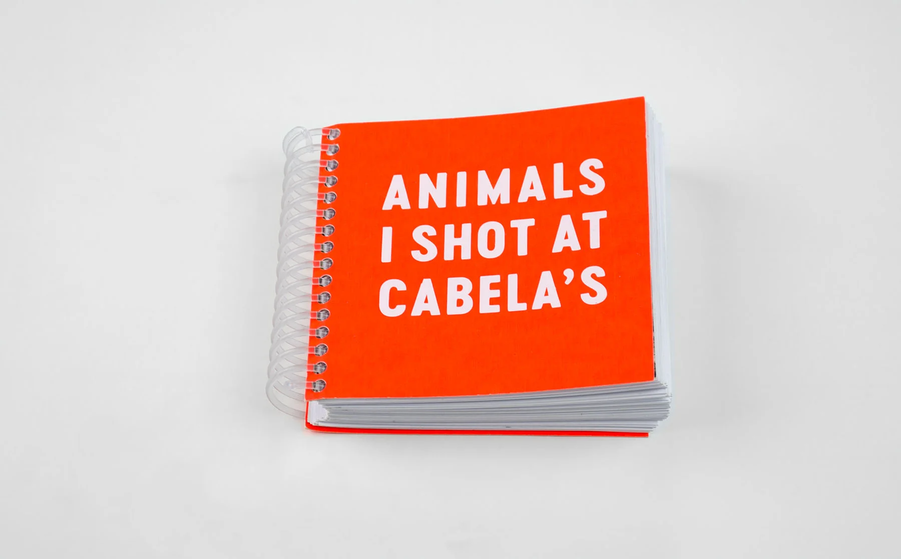 Animals_01.jpg