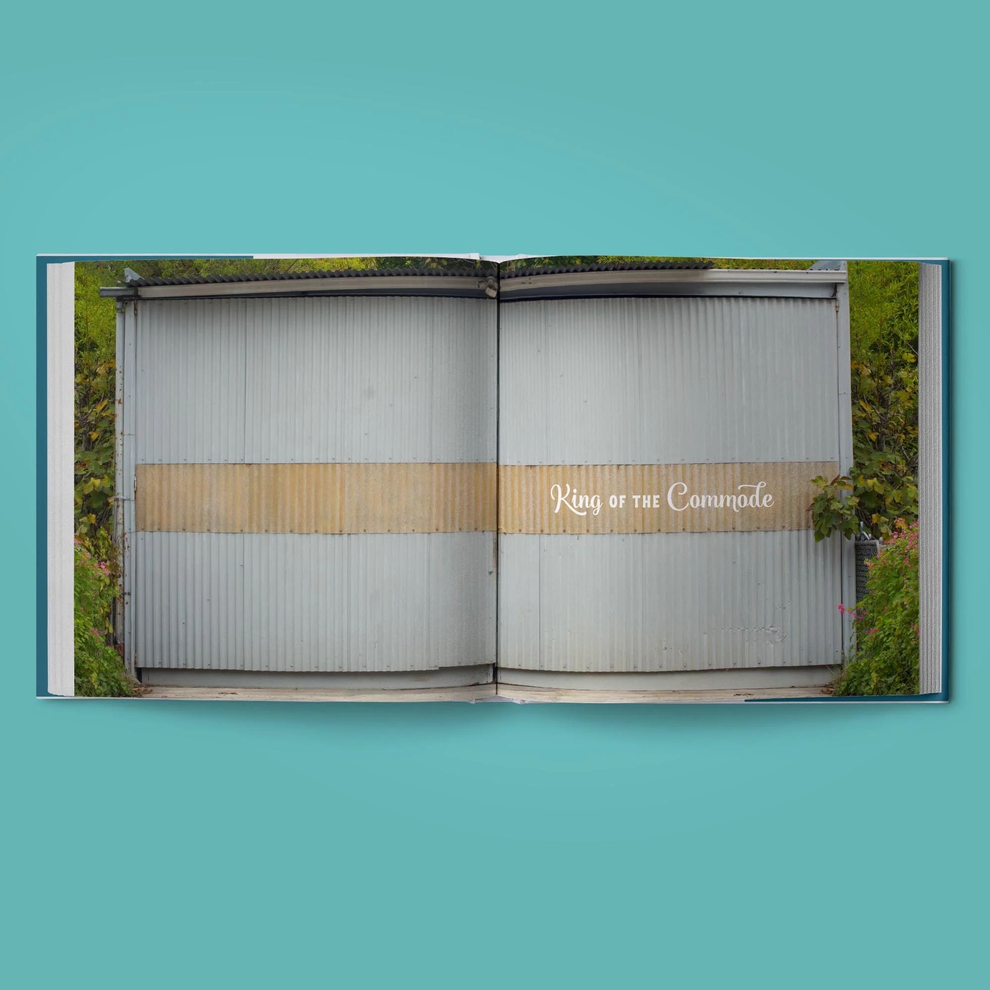 Book_2.jpg