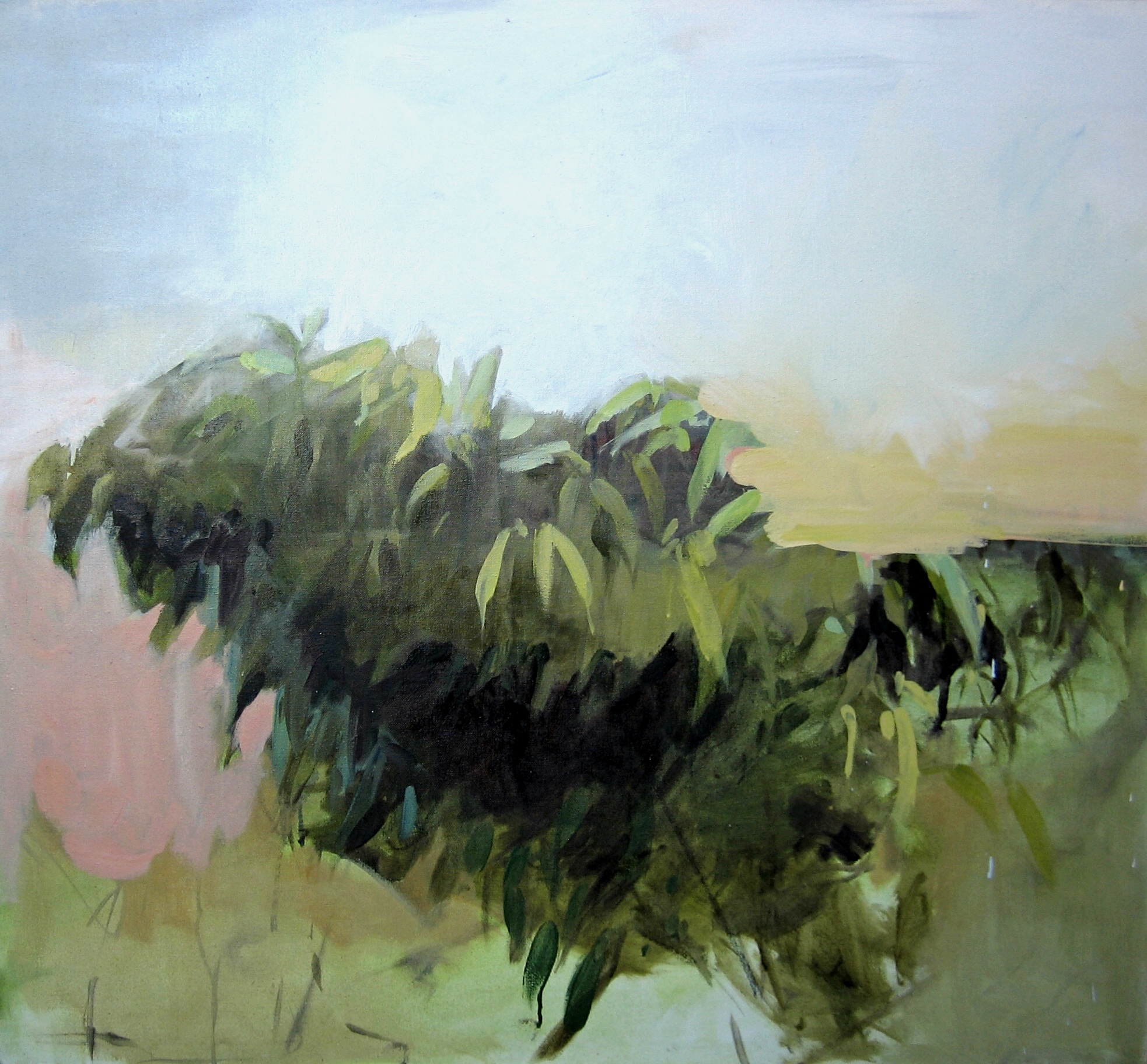 Orchard 32"x35"