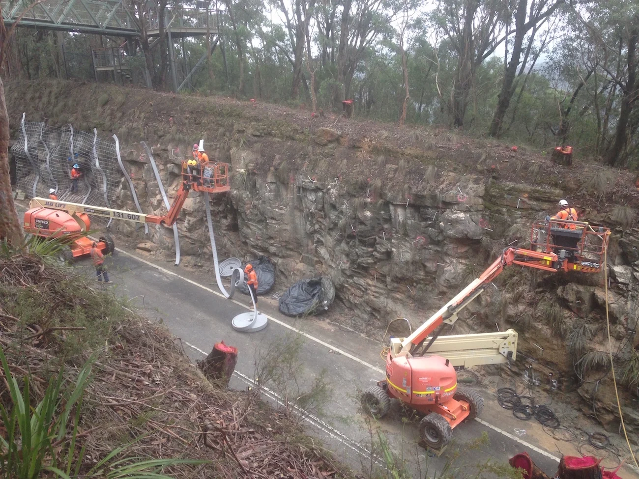 Mt Tomah pre mesh.JPG