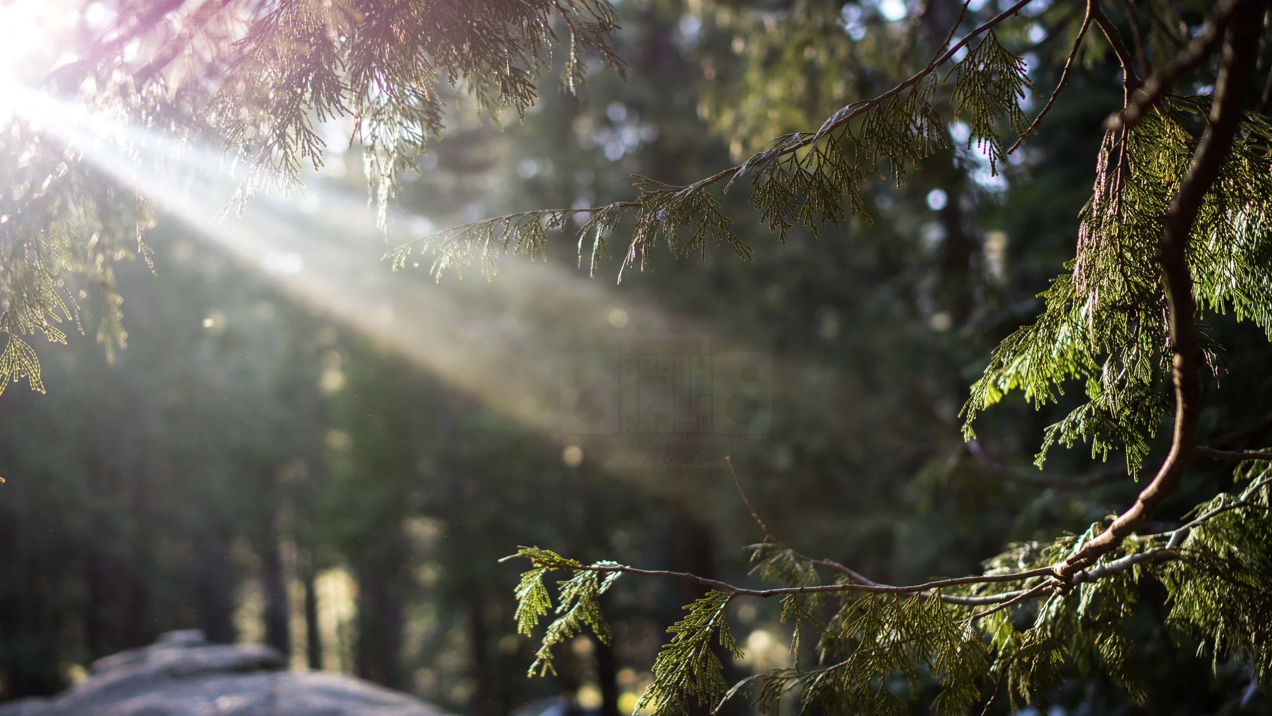 Ultra Light Beam.jpg