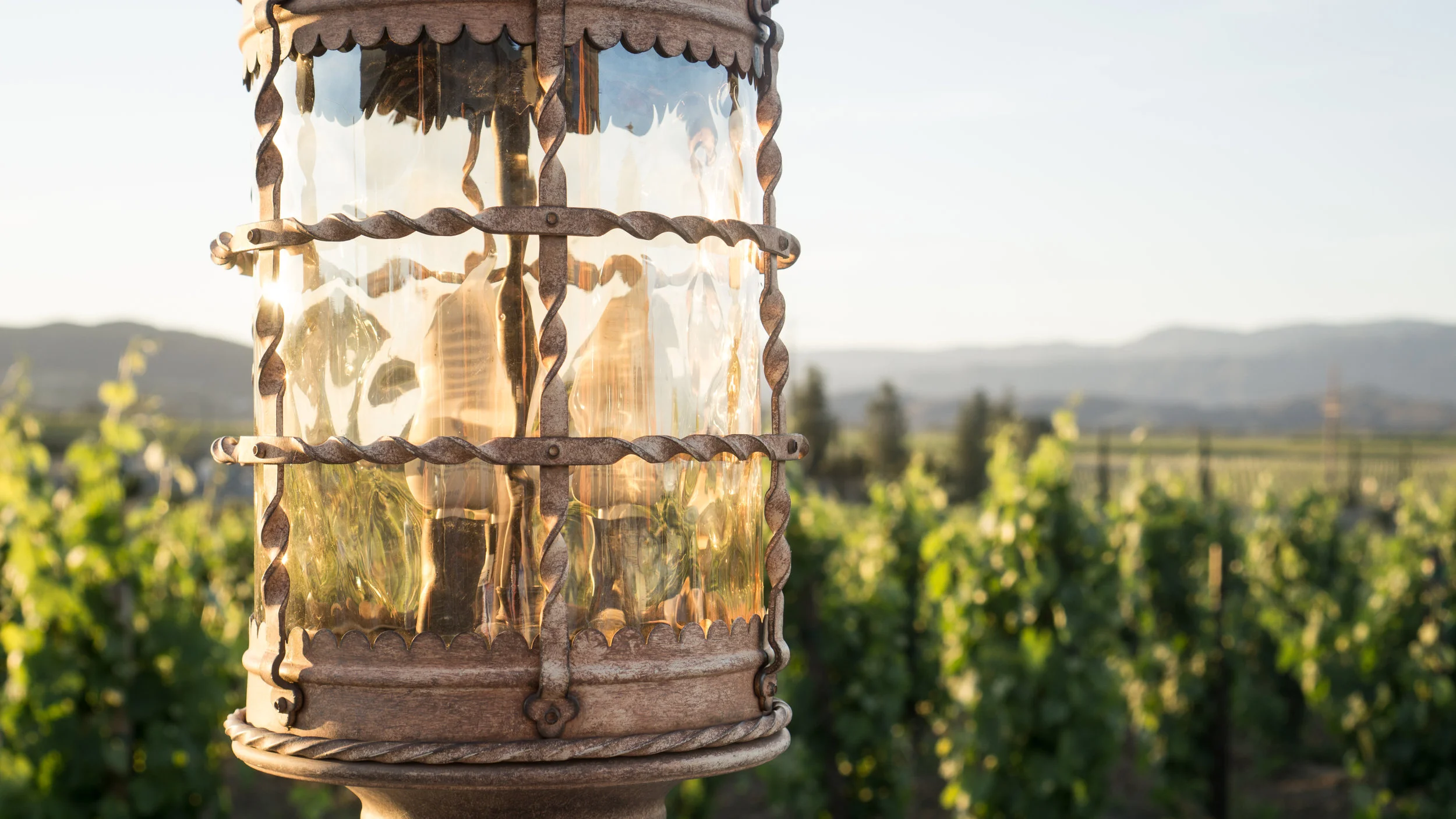 lamp Really Not Radio_.jpg