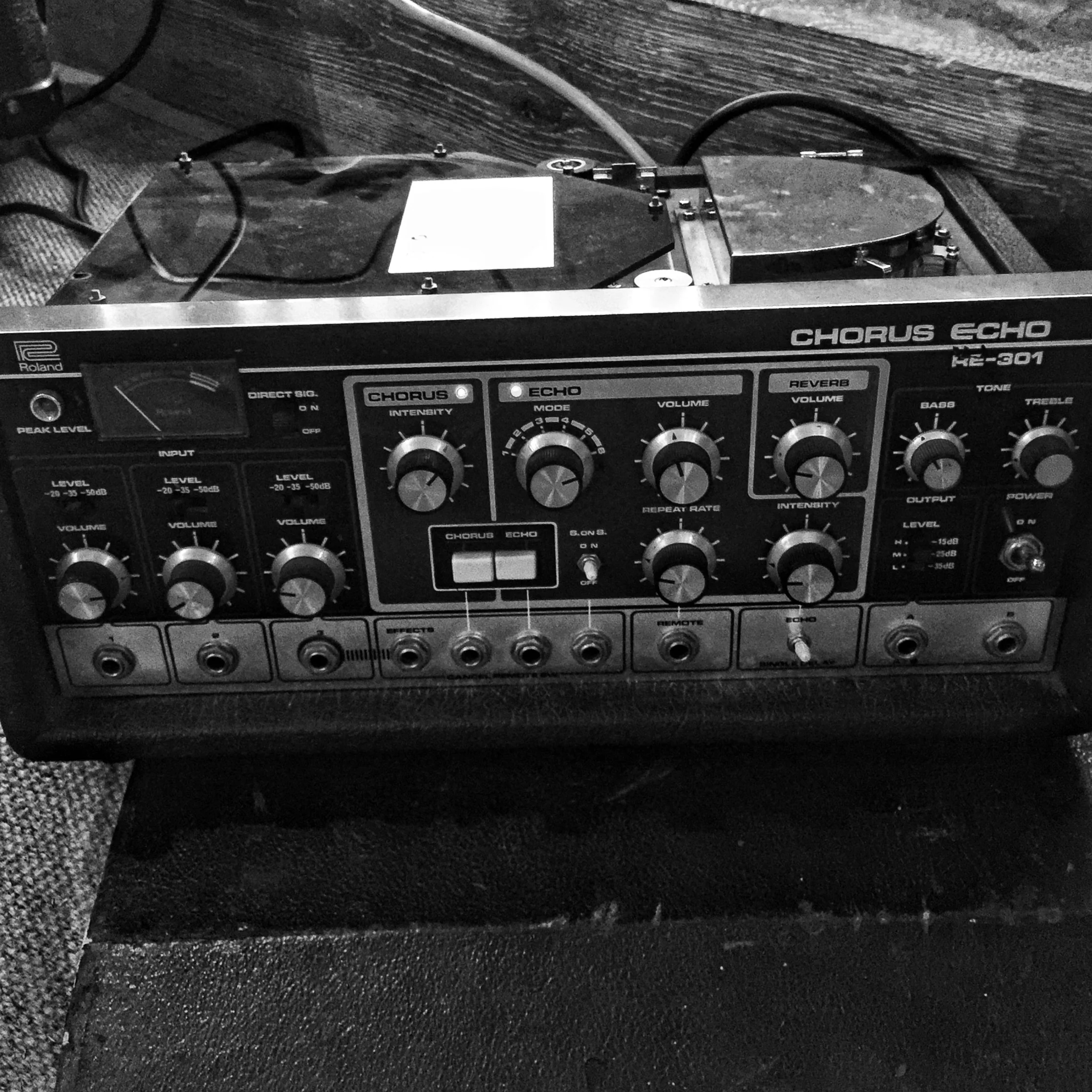 Patron Donation - Space Echo