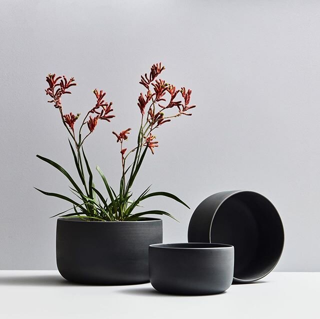 VIGNETTE || create a vignette at home with these hand crafted organic ceramic pots by @eskohome 
Pic @mareehomer.photography .
.
.
.
#iso #stayhome #create #nesting #spoilyourself #ceramics #handmadeceramics #handmade #handcrafted #modernceramics #pl