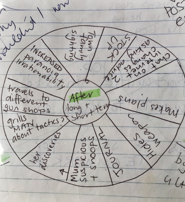 This is an EVENT WHEEL. It's a very early part of the process and is generally a broad look at what could potentially happen during that section. So above shows the possible events that could occur after Damon's expulsion.