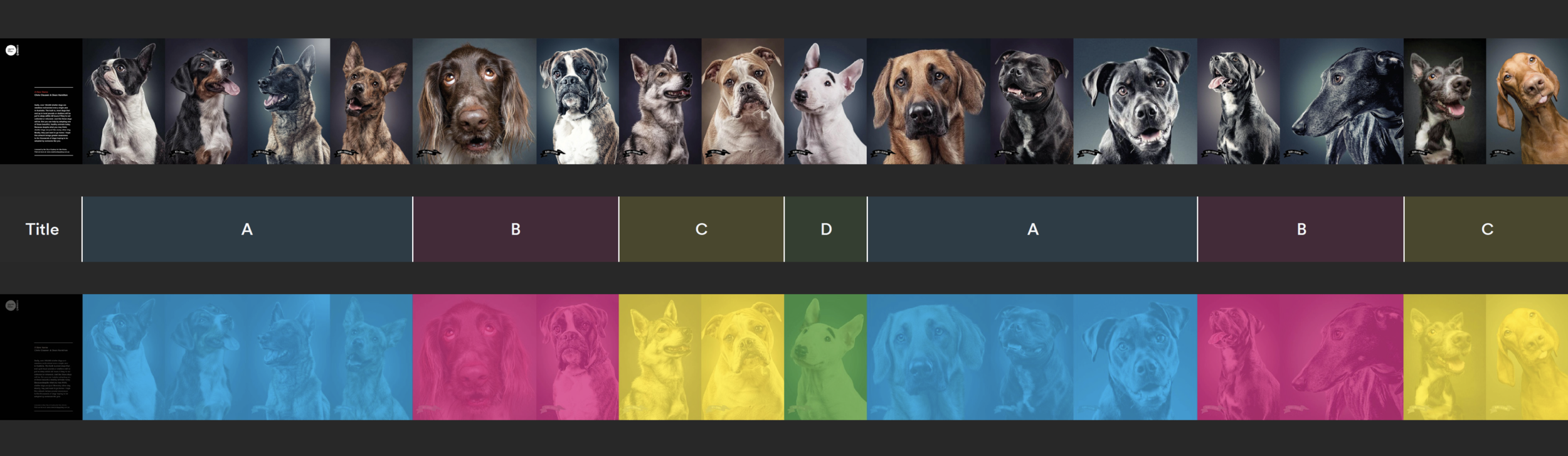CoS_Panel_Layout.png