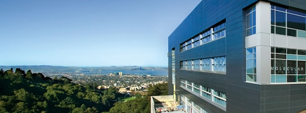 FOundryView.jpg