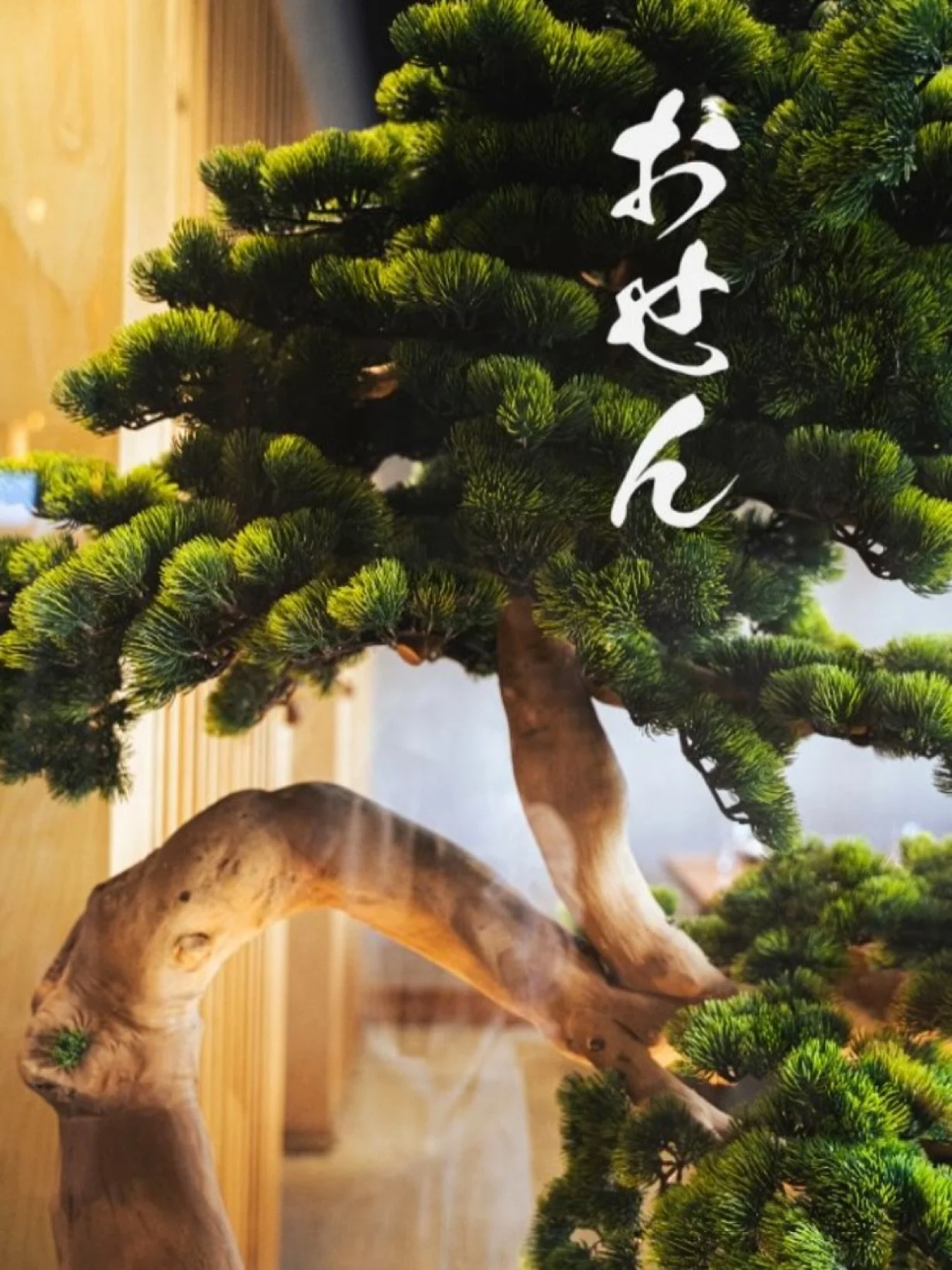 Welcoming December with a warm and inviting atmosphere at Izakaya Osen Irvine. Celebrate the season with exquisite Japanese cuisine, carefully crafted cocktails, and moments that make every gathering memorable

#IzakayaOsen #DecemberVibes #FineDining