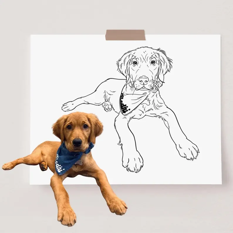 Single Line Custom Portrait Art
