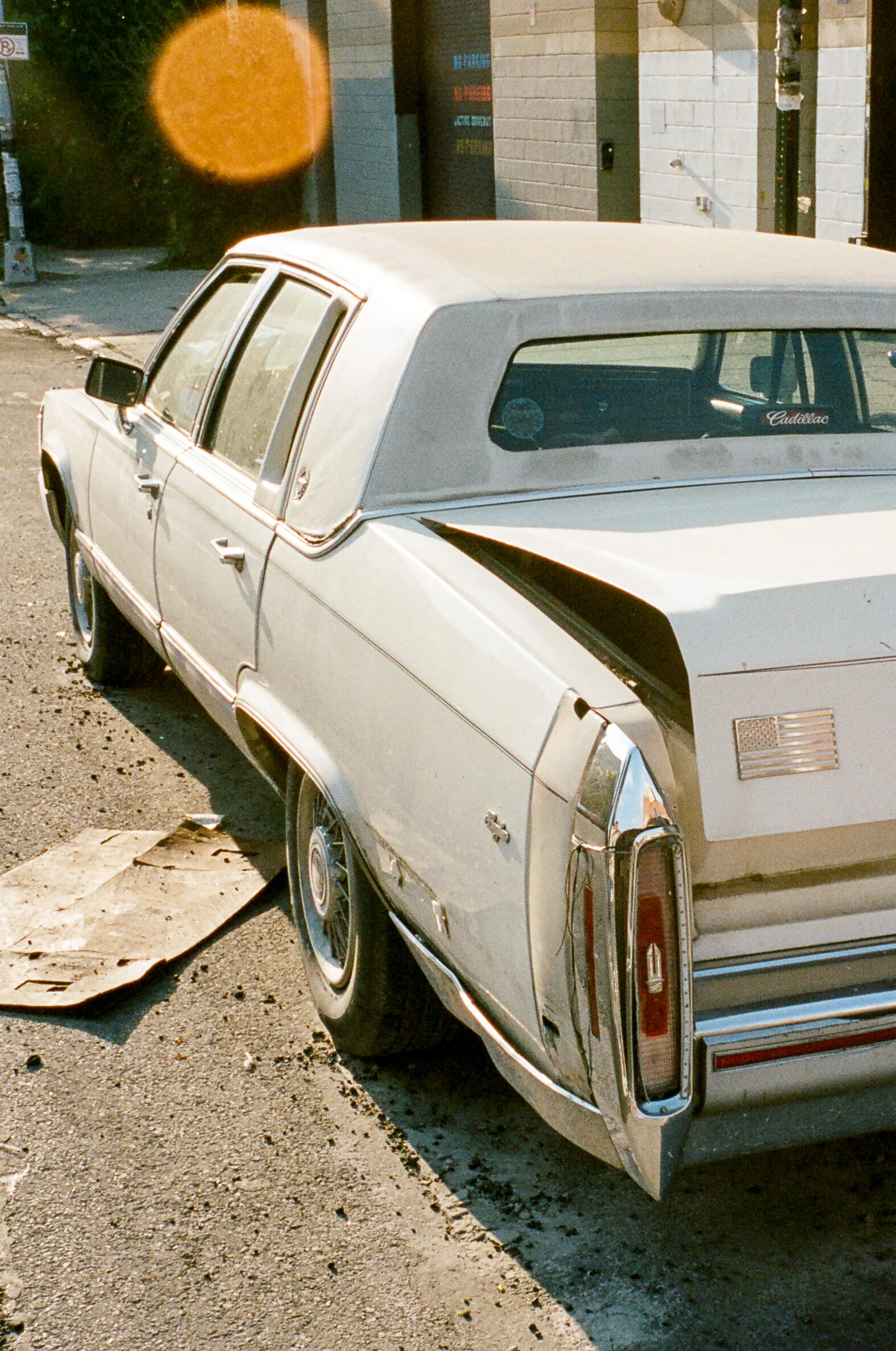 22520034.jpg