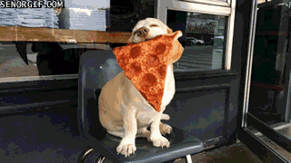 P U P P E R O N I