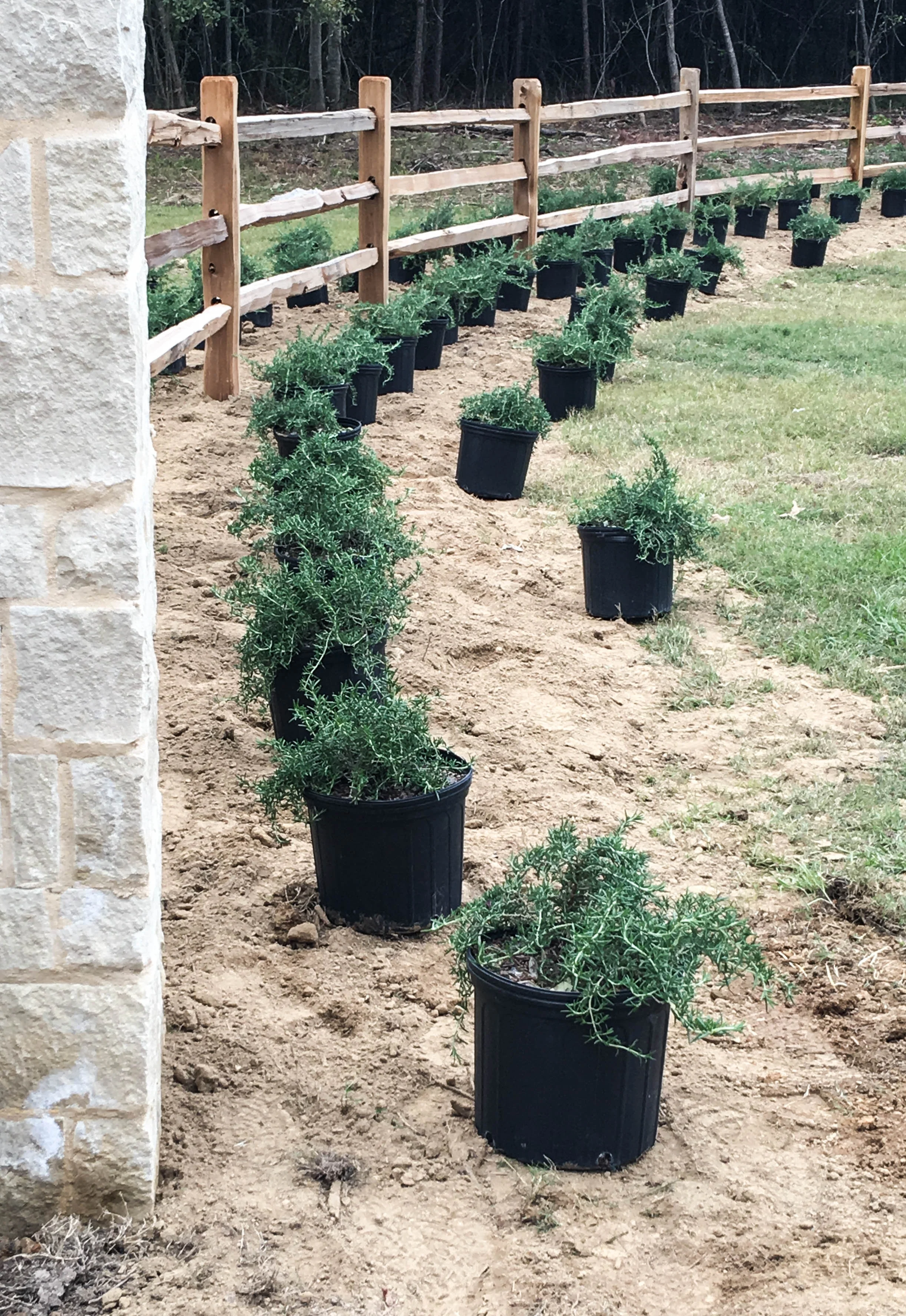 EastWood Entrance Construction Progress — McCrory & Associates