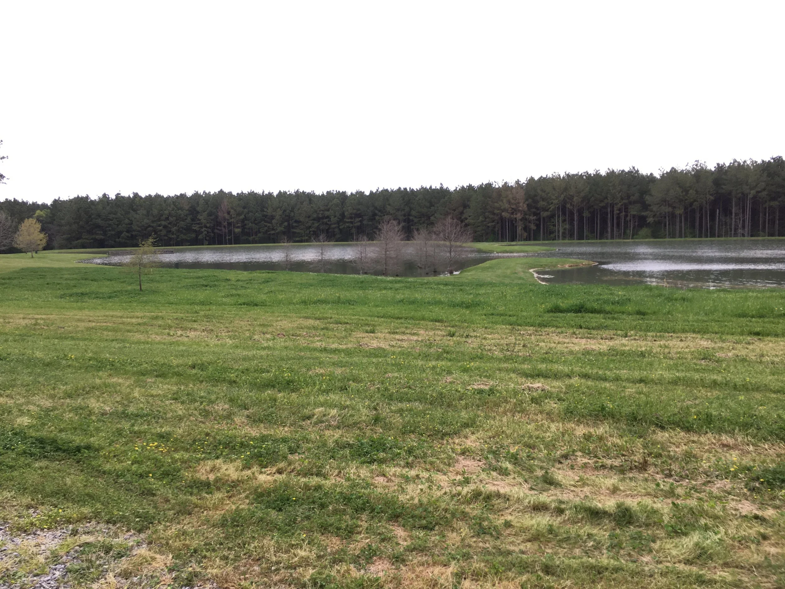 Progress of lake.  Pedestrian bridge to be installed in next phase across the dam.